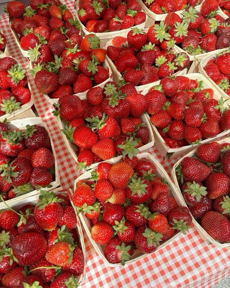 Berry Patch Sampler: Artisanal Juicy Assortment